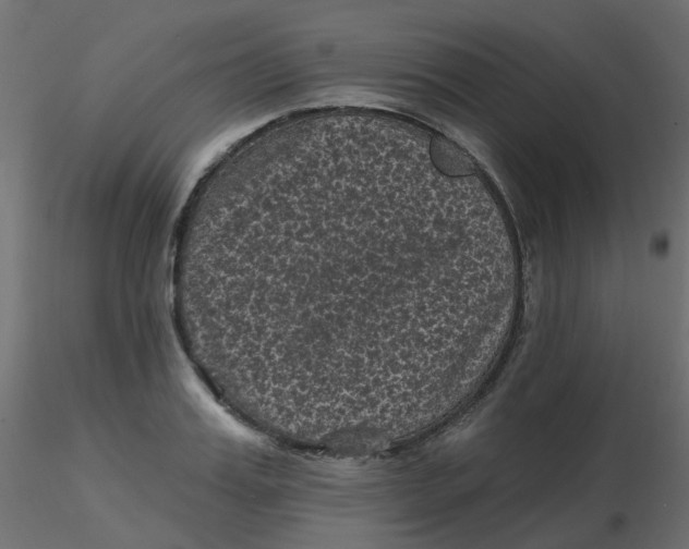 X0000116610987200912312114