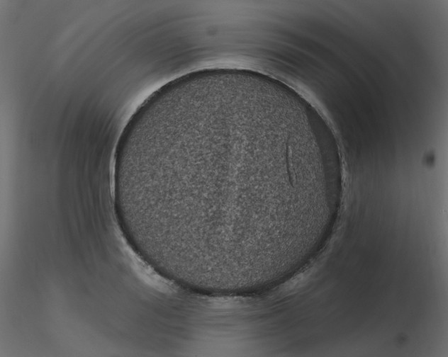 X0000116610988200912312114