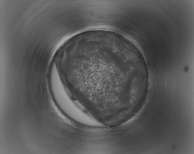 X0000116610989200912312114