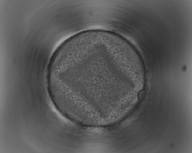 X0000116610991200912312114