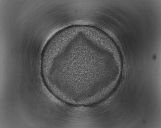 X0000116610992200912312114