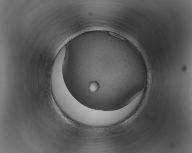 X0000116610993200912312114