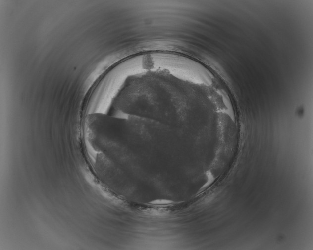 X0000116610994200912312114