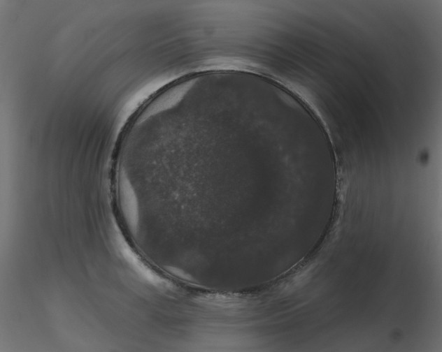 X0000116610995200912312114