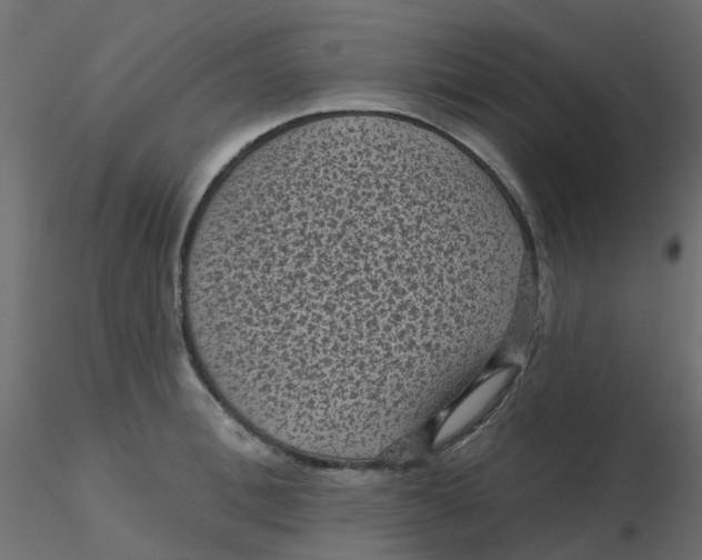 X0000116610996200912312114