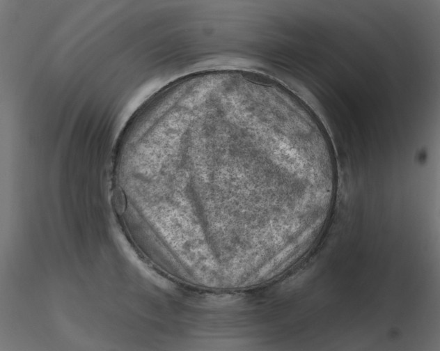 X0000116610997200912312114