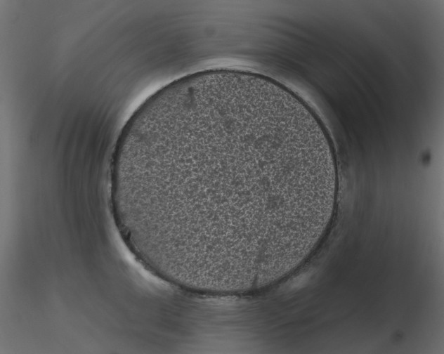 X0000116610999200912312114