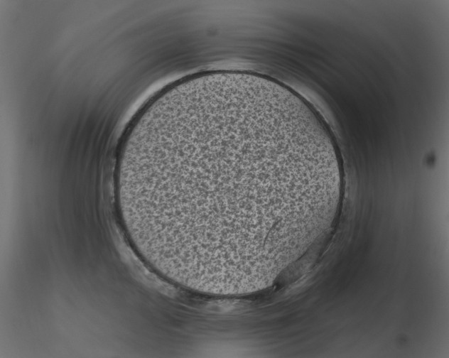 X0000116611000200912312114