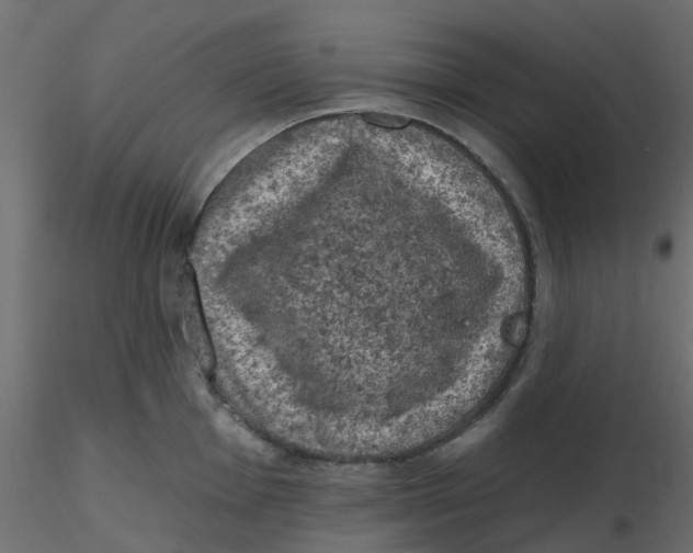 X0000116611001200912312114