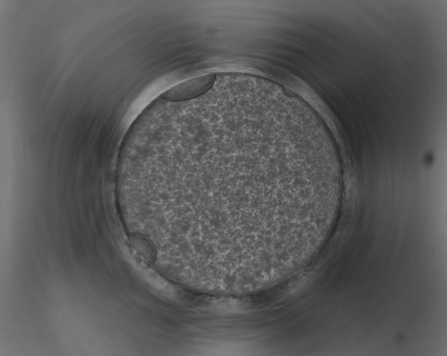 X0000116611002200912312114