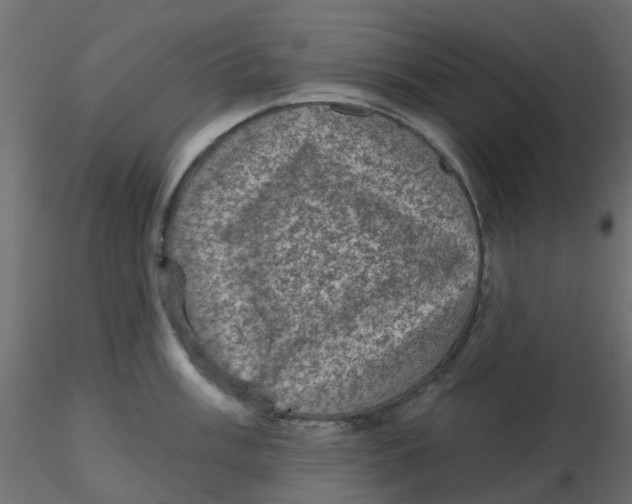 X0000116611003200912312114