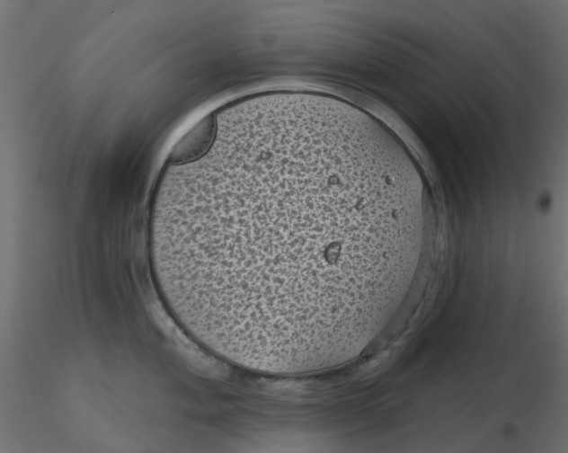 X0000116611004200912312114