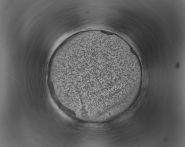 X0000116611005200912312114