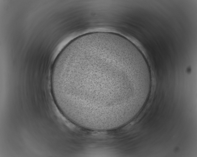 X0000116611006200912312114