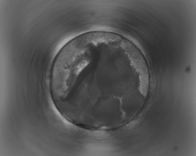 X0000116611007200912312114