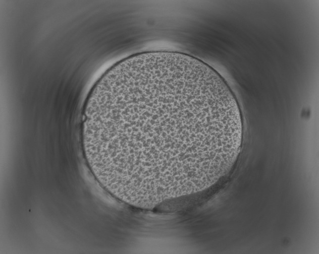 X0000116611008200912312114