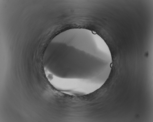 X0000116611009200912312113