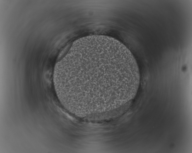 X0000116611010200912312113