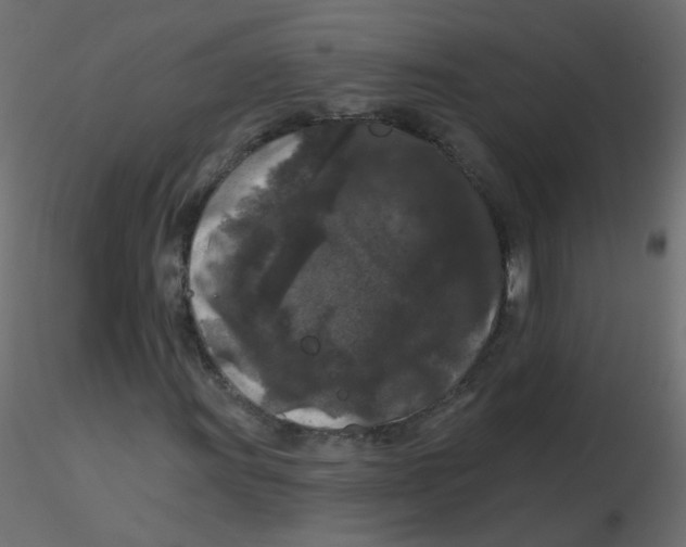 X0000116611011200912312113