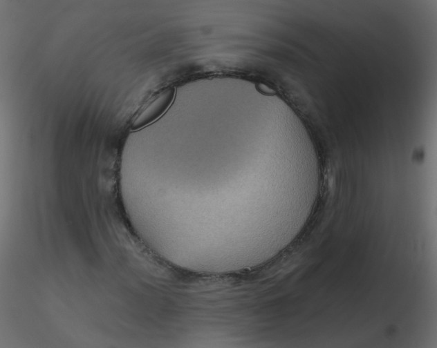 X0000116611012200912312113