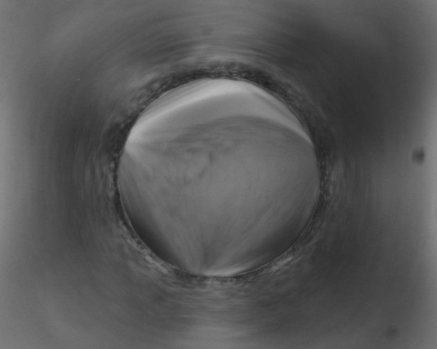 X0000116611013200912312113