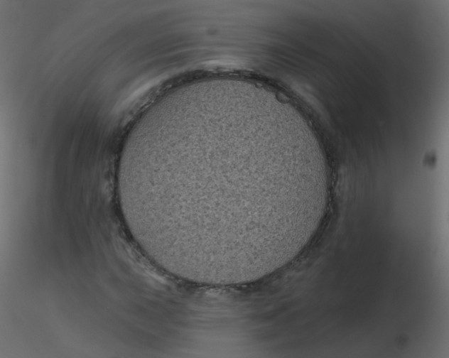 X0000116611015200912312113