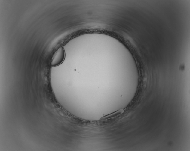 X0000116611016200912312113