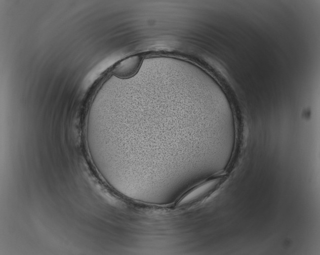 X0000116611018200912312113