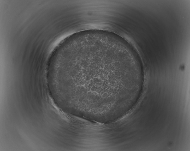 X0000116611019200912312113