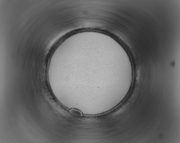 X0000116611021200912312113