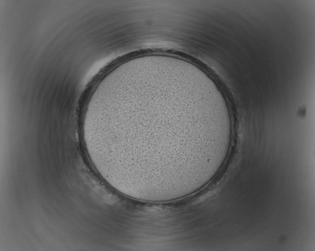 X0000116611022200912312113