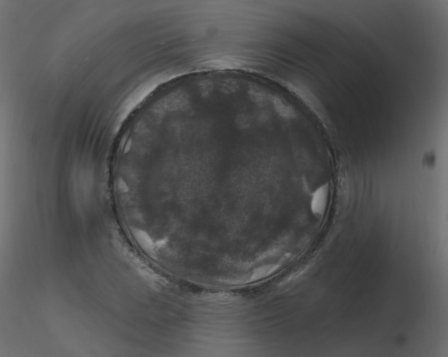 X0000116611023200912312113