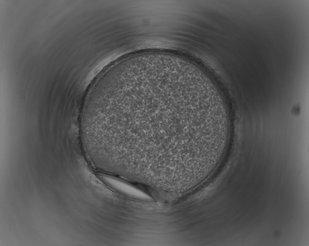 X0000116611025200912312113