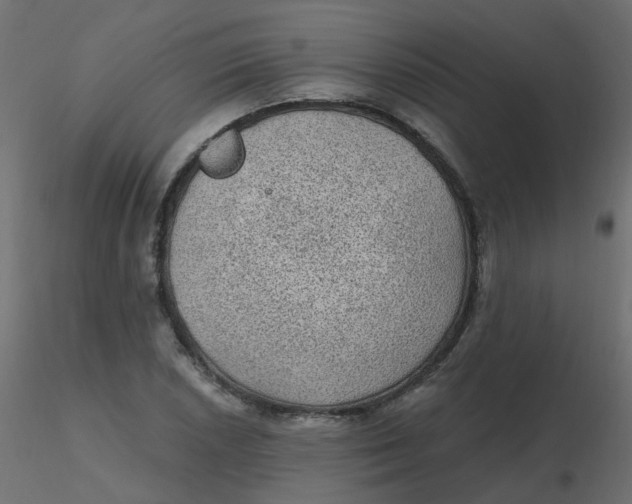 X0000116611026200912312113