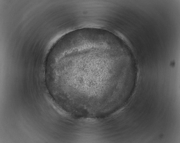 X0000116611027200912312113