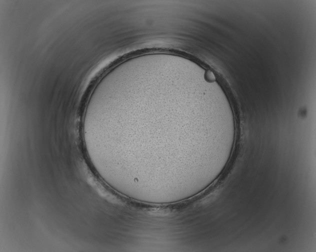 X0000116611029200912312113