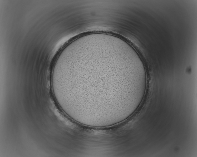 X0000116611030200912312113