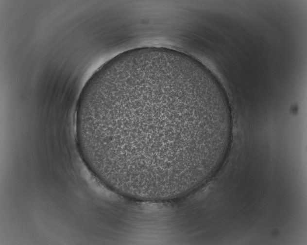 X0000116611032200912312113