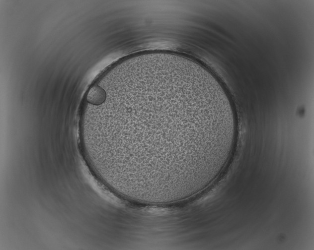 X0000116611034200912312113