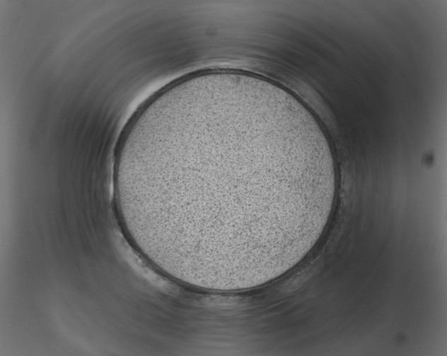 X0000116611036200912312113