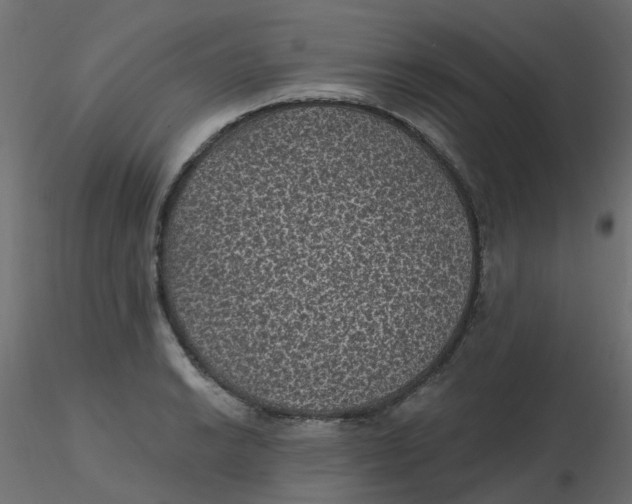 X0000116611038200912312114