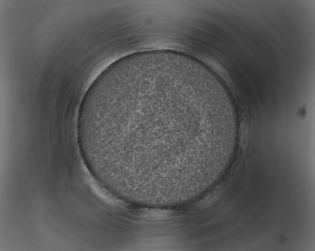 X0000116611039200912312114