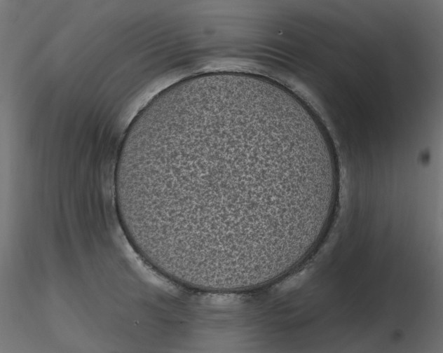 X0000116611041200912312114