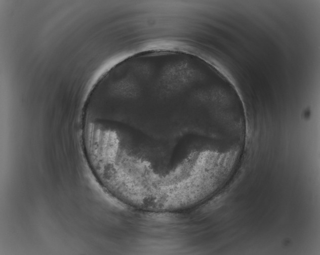 X0000116611045200912312114