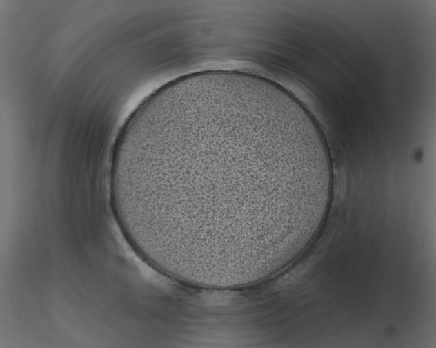 X0000116611046200912312114