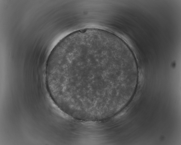 X0000116611048200912312114