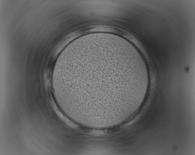 X0000116611049200912312114