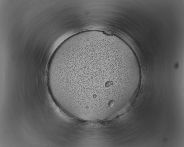 X0000116611050200912312114