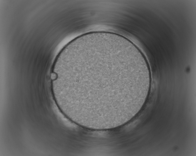 X0000116611053200912312114