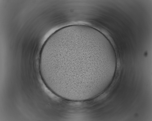 X0000116611054200912312114